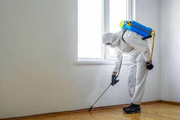 Best Fumigation Services  in North Babylon, NY